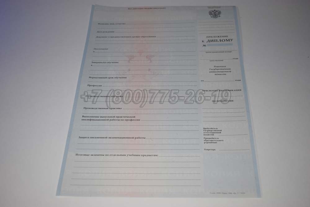 Приложение к диплому ПТУ Гознак 2007-2010 год выпуска г.Красноярск